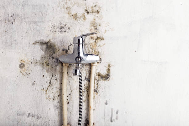 Best Mold Remediation Experts  in Uniontown, PA