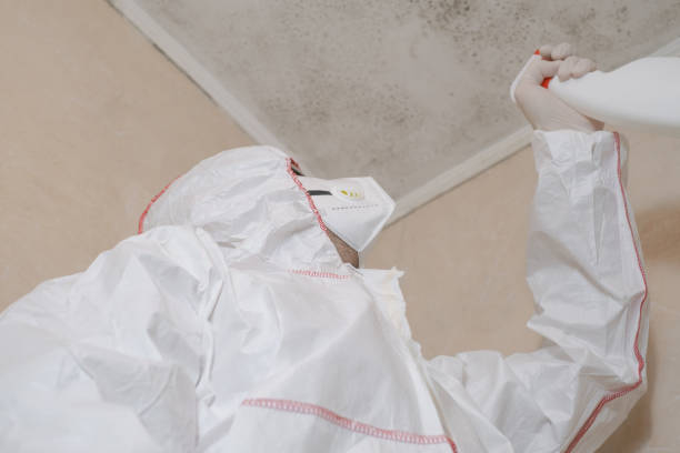 Best Toxic Mold Removal  in Uniontown, PA